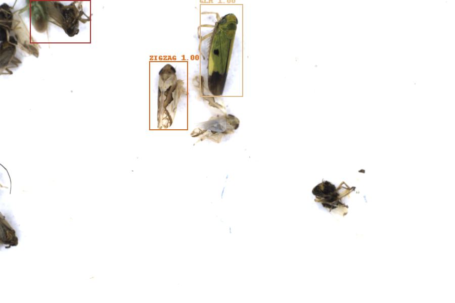 Image 9